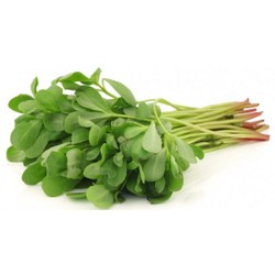 Fresh Purslane (Bakle) 1 pack