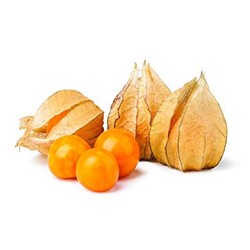 Physalis Thailand 1 pack