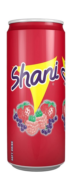 Shani Fruit Drink 330 ml