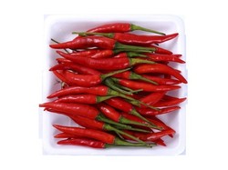 Bird Chili Red Thailand 100 gr per pack