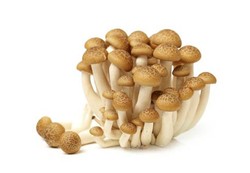 Mushrooms Shimeji Brown 1 pack