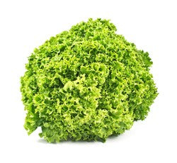 Lettuce Lollo Bionde 1 pack