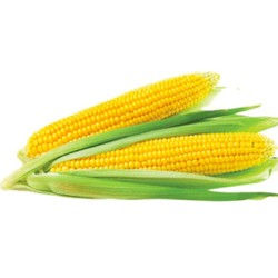 Fresh Food Sweet Corn 2 per pack