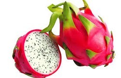 Dragon Fruit 1 pcs