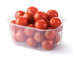 Elite Harvest Cherry Tomatoes 250 gr per pack