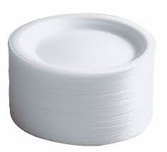 White Disposable Foam Plates 25 per pack