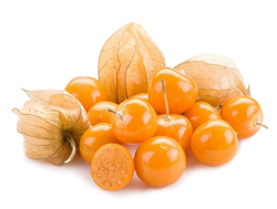 Ola Physalis Colombia 100 gr per pack