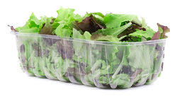 Levarht Mixed Lettuce Leaves 125 gr per pack