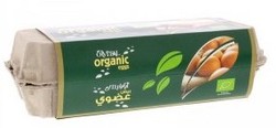 Яйца Orvital Organic Brown 10 шт. в упаковке