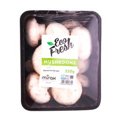 Eco Fresh Mushrooms UAE 250 gr per pack