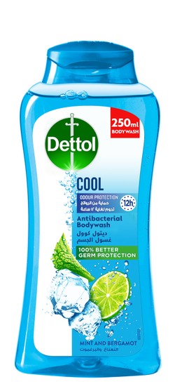 Dettol Cool Antibacterial Body Wash Mint & Bergamot Scent 250 ml