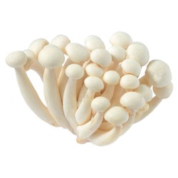 Mushrooms Shimeji White Korea 150 gr per pack