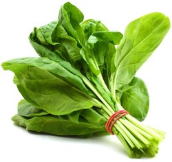 Fresh Spinach 1 pack