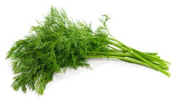 Fresh Dill Leaves 1 pack