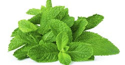 Fresh Mint Leaves 1 pack