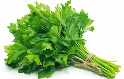 Fresh Parsley Leaves 1 pack