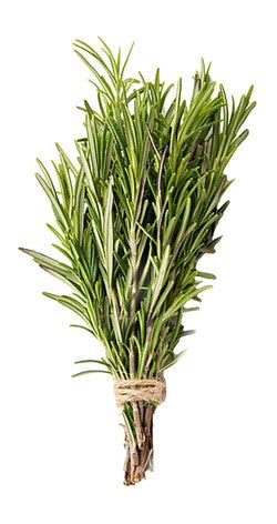 Fresh Rosemary Leaves 1 pack