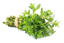 Fresh Thyme Leaves 1 pack